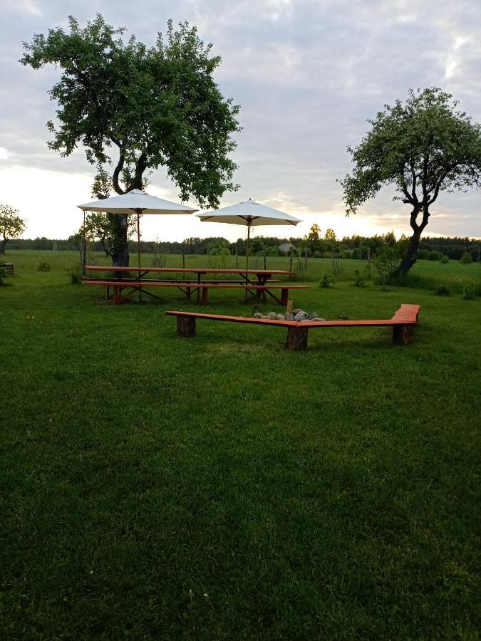 Agroturystyka Podlasie Dobrzyniewo Duze Exteriör bild